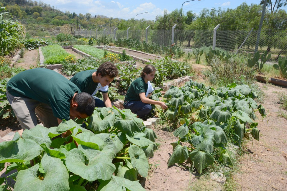 imagen Frutas y verduras donaron a Conin chicos del Liceo Agrícola