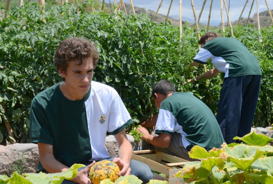 imagen Frutas y verduras donaron a Conin chicos del Liceo Agrícola