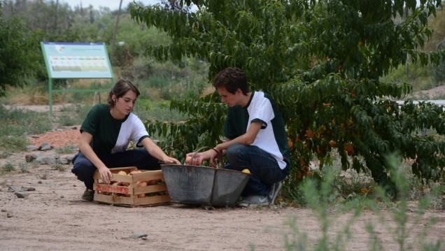 imagen Frutas y verduras donaron a Conin chicos del Liceo Agrícola