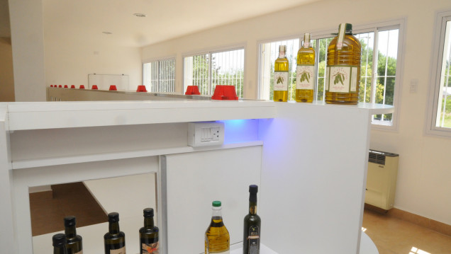 imagen Especialistas disertarán sobre aceite de oliva, salud y producción	