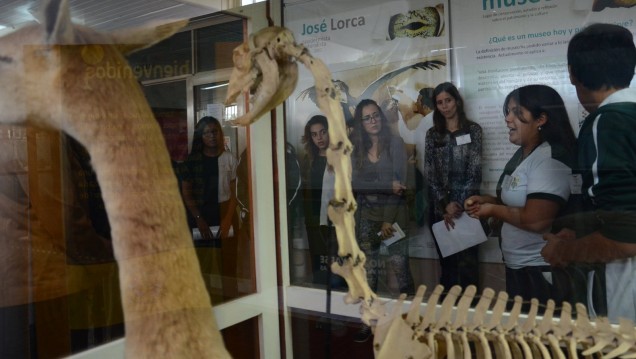 imagen Guías por un día en el Museo del Liceo Agrícola