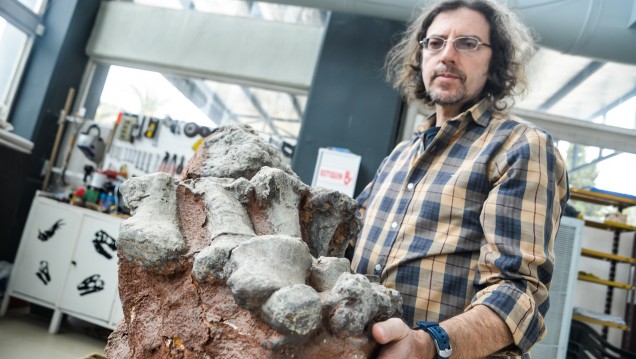 imagen Colossosaurio, el nuevo gigante descubierto en la UNCUYO