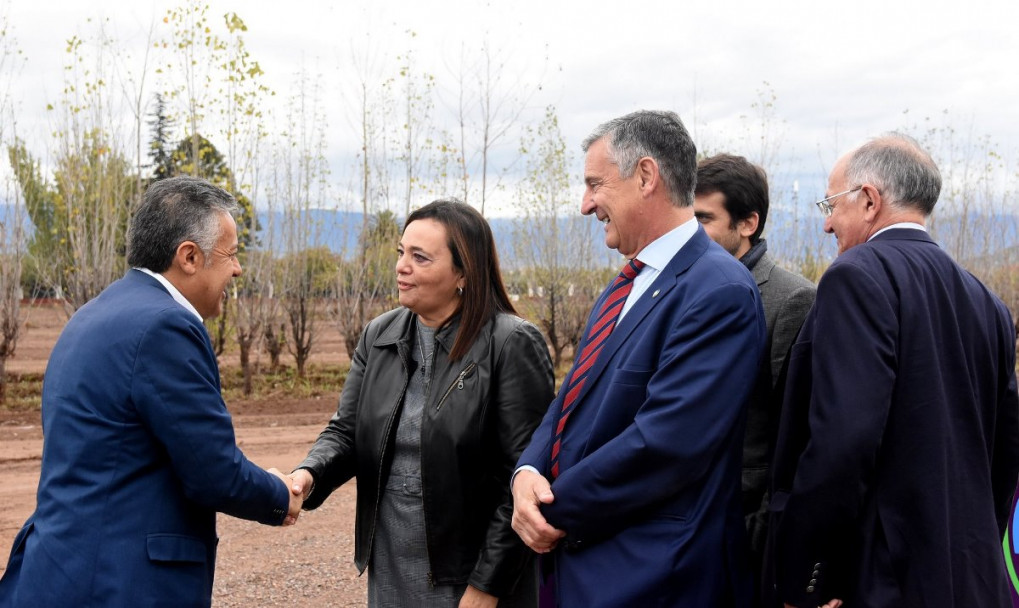 imagen Centro Tecnológico de la Madera de la UNCUYO reunirá al sector científico y productivo