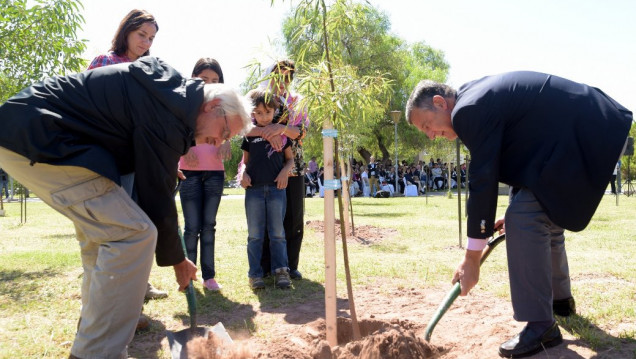 imagen Cuarenta eucaliptos dan vida al Paseo de la Memoria