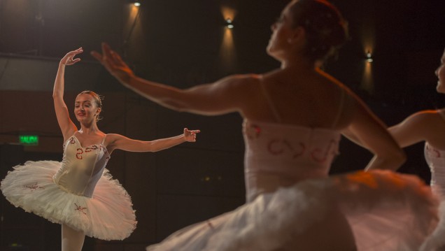 imagen El Ballet ofrecerá una velada clásica y contemporánea