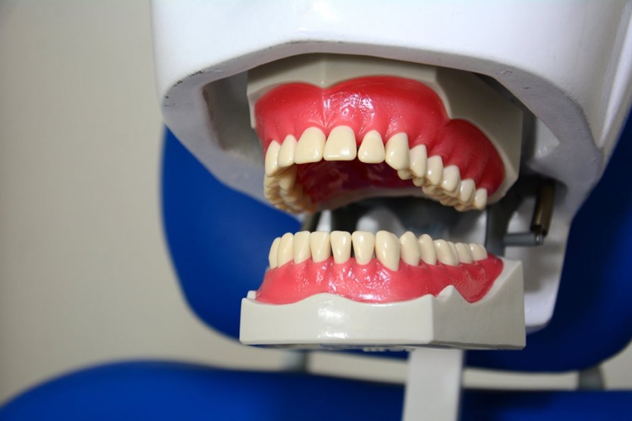 imagen Usarán simuladores para aprender a ser odontólogos