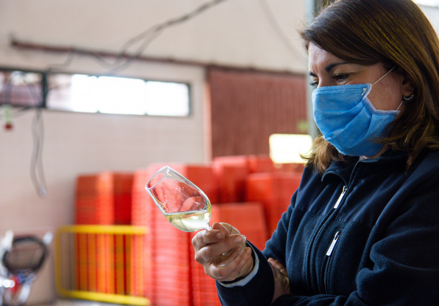 imagen Fábrica de la UNCUYO: "nuevas formas de hacer" para que la agroindustria no se detenga