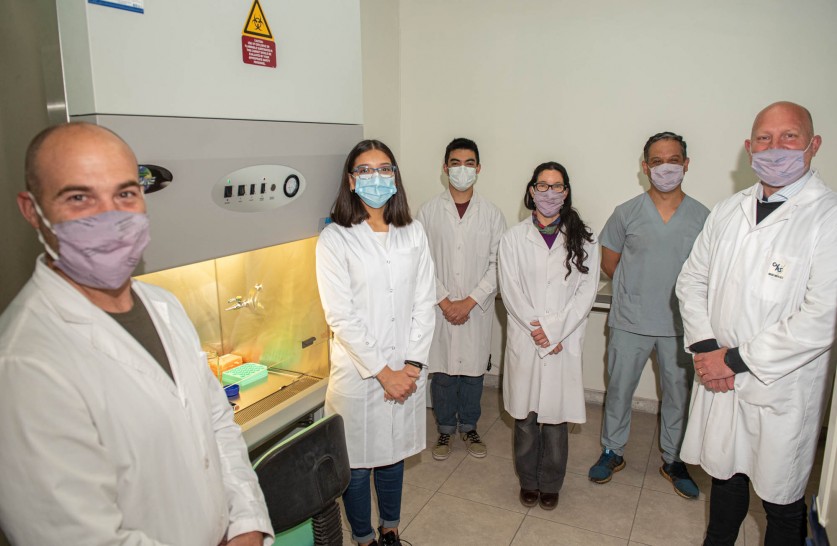imagen Odontología: Investigadores logran aislar, expandir y congelar células madre de ligamento periodontal