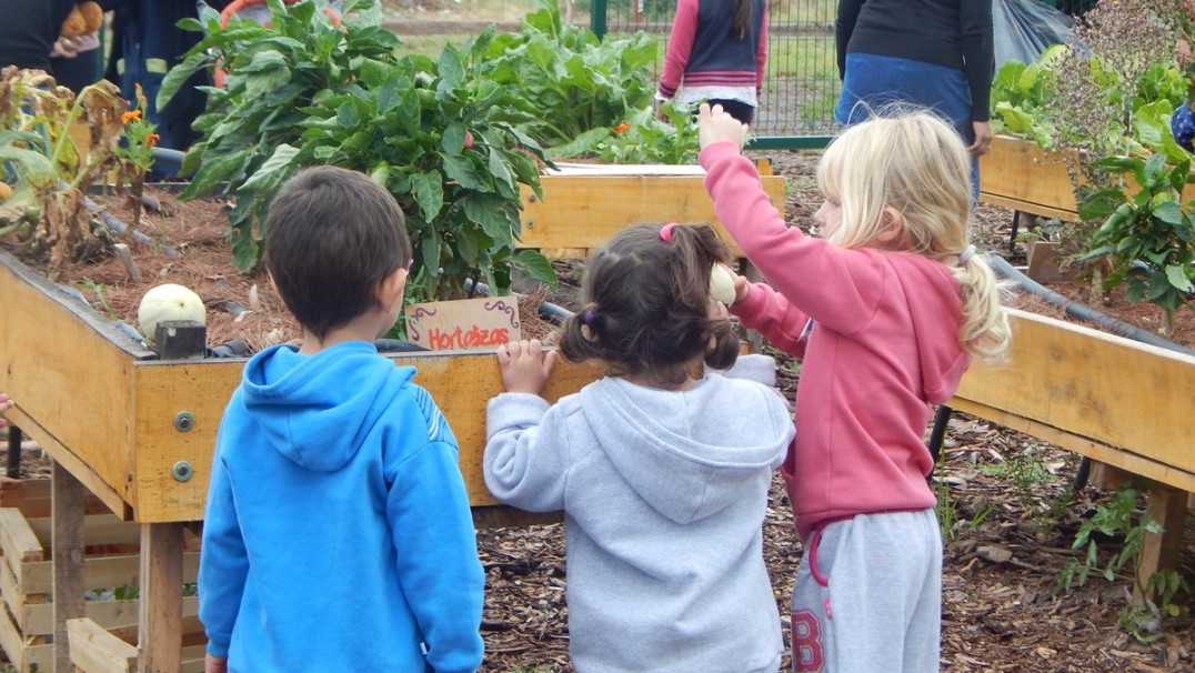 imagen Niños jugaron a ser agricultores por un día