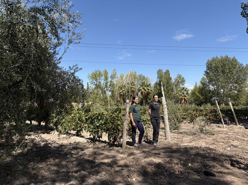 imagen La Vendimia también se vive en la UNCUYO