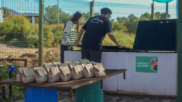 imagen El Comedor de la UNCUYO ya composta sus residuos orgánicos