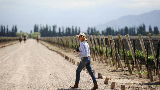 imagen Encuentro internacional de enoturismo reunirá a referentes globales del sector