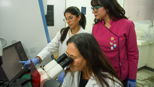 imagen Biotecnología y Ciencia Abierta: presentarán a la UNCUYO como el Hub para América Latina de la Red Reclone