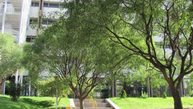 imagen Dos cargos docentes concursa la facultad de Ciencias Económicas