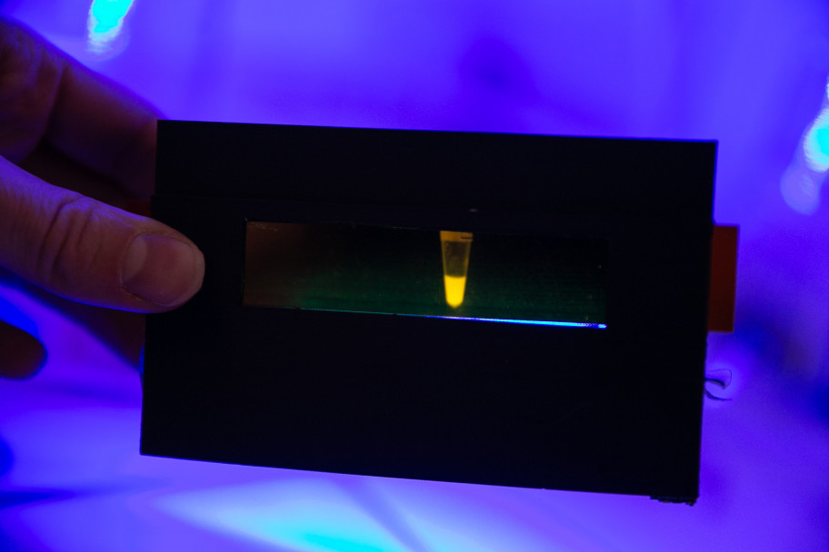 imagen La UNCUYO encabeza una red que compartirá reactivos para la investigación biomédica en Latinoamérica