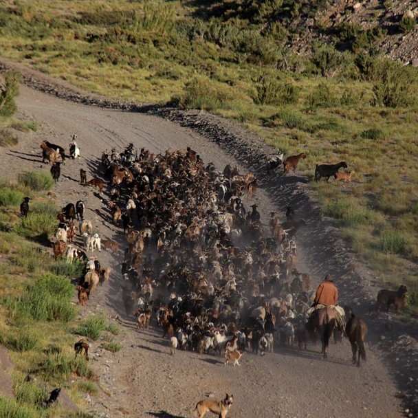 imagen Documental mendocino multipremiado llega al Cine Universidad