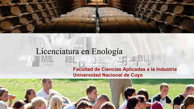imagen San Rafael tendrá una nueva carrera vinculada al vino