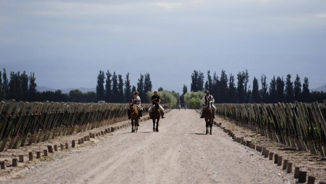 imagen Analizarán la importancia del turismo en el desarrollo de la Zona Este