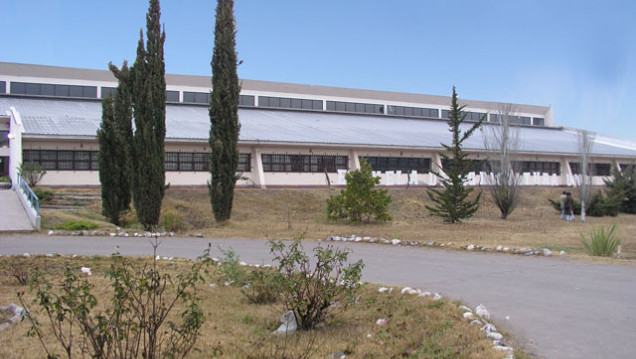 imagen Realizan  jornadas ganaderas en General Alvear