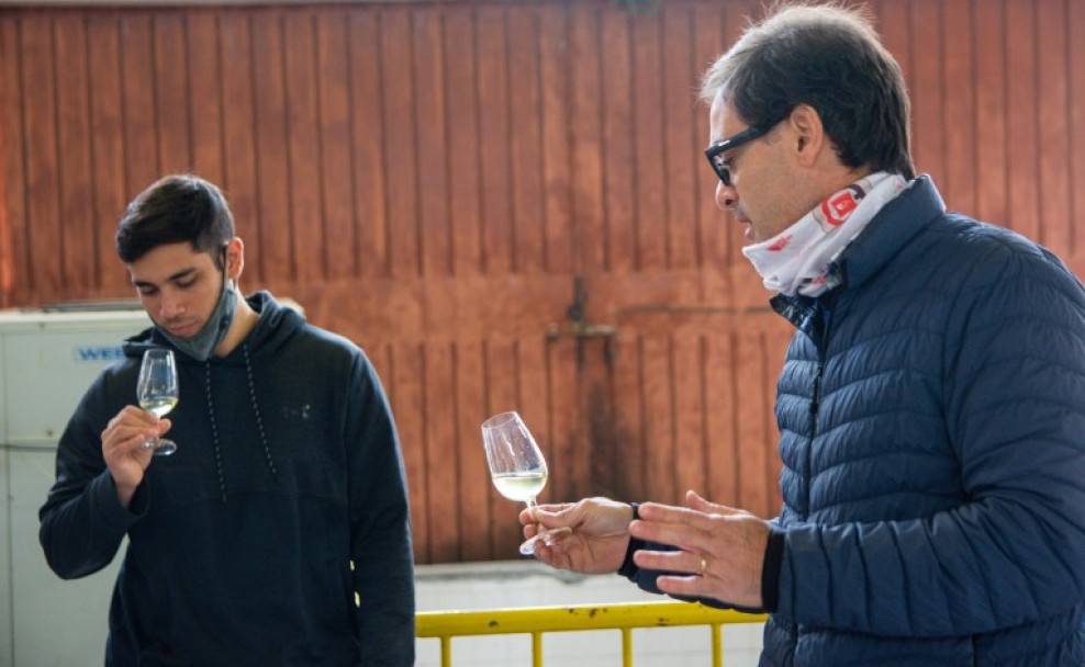 imagen Champenoise, un método con el que Agrarias elabora 3000 botellas de espumantes al año