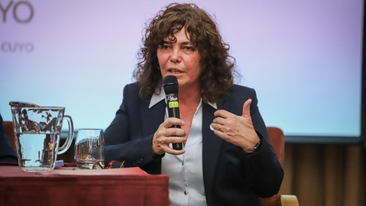 imagen La ingeniera Graciela Bertolino es la nueva directora del Instituto Balseiro
