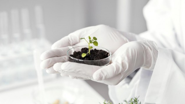 imagen Expertos en biotecnología se reúnen en Mendoza para compartir experiencias 