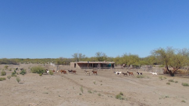 imagen Científicos chinos expondrán sobre desertificación