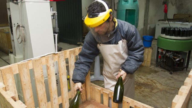 imagen UNCuyo será sede de la Semana de la Innovación de la Vitivinicultura