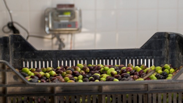 imagen Analizarán los desafíos futuros del sistema agroalimentario