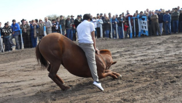 imagen La UNCuyo participa en la Fiesta Ganadera de Santa Rosa