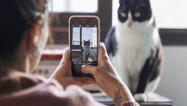 imagen Fotografía con celular y Redes sociales: dos talleres virtuales para estudiantes