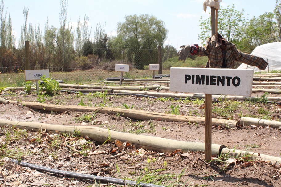 imagen Trabajan proyecto de huerta agroecológica en una escuela rural