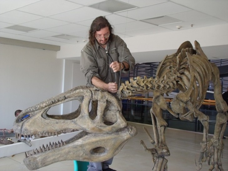 imagen La Brújula tiene un laboratorio de dinosaurios de la UNCuyo
