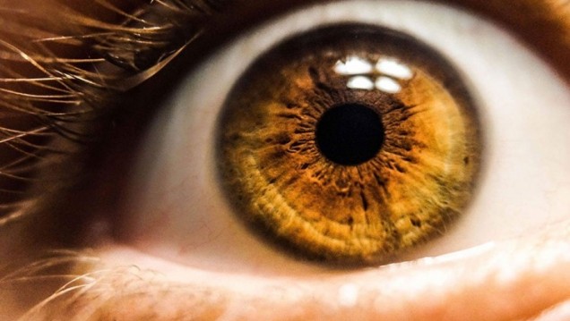 imagen La UNCUYO será sede de la Campaña nacional de detección del glaucoma 2023
