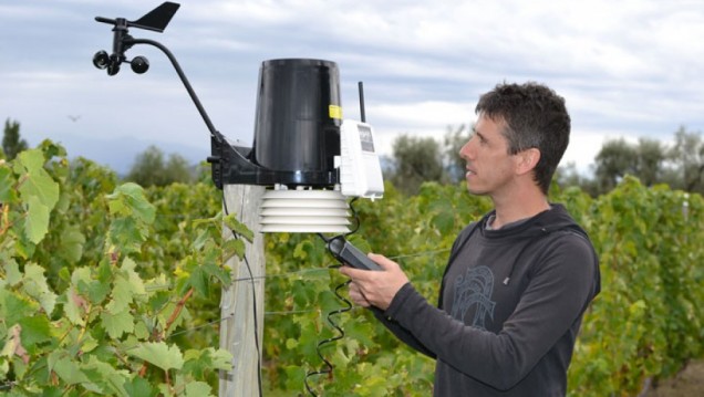 imagen Cambio climático y vitivinicultura en la mirada de un científico francés