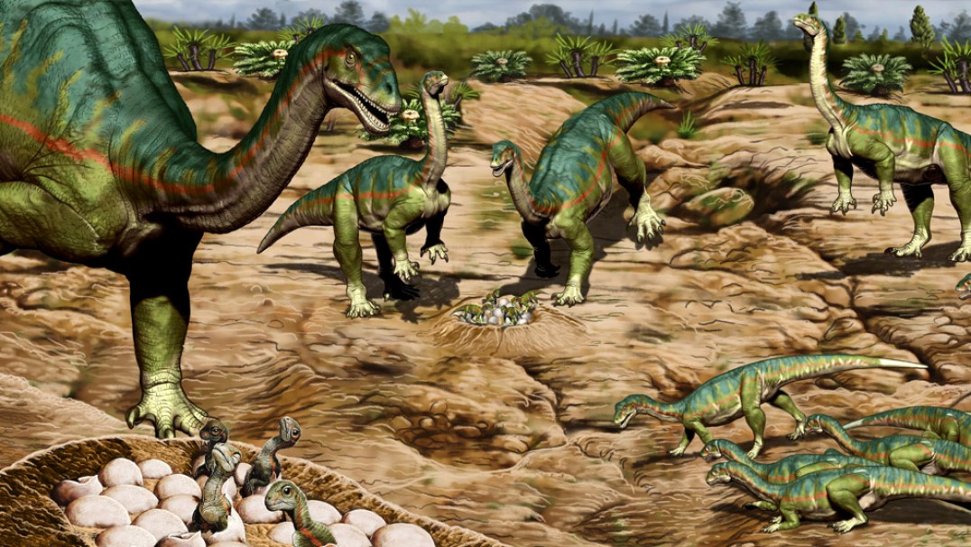 imagen Equipo del Conicet descubrió colonia reproductiva en una especie primitiva de dinosaurio