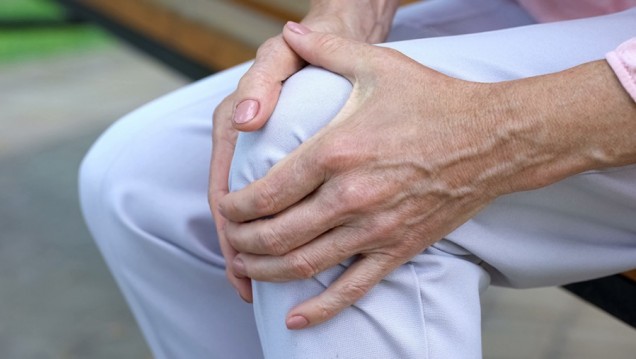 imagen Dictaran una formación integral en Osteoporosis 