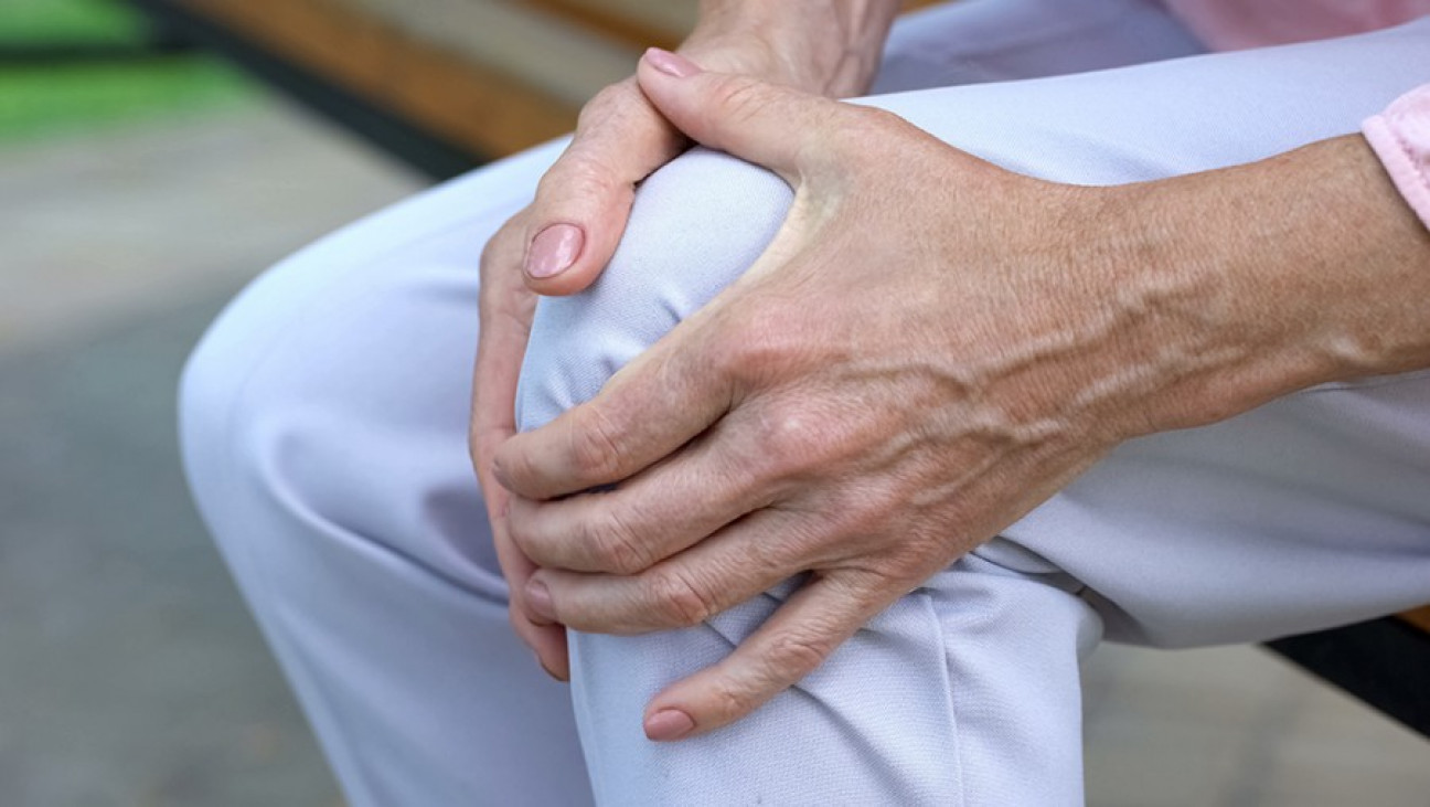 imagen Dictaran una formación integral en Osteoporosis 