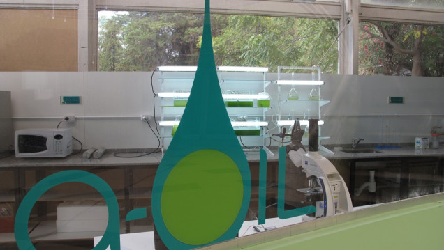 imagen Realizan en la UNCuyo el primer Curso de Algología Aplicada en Mendoza
