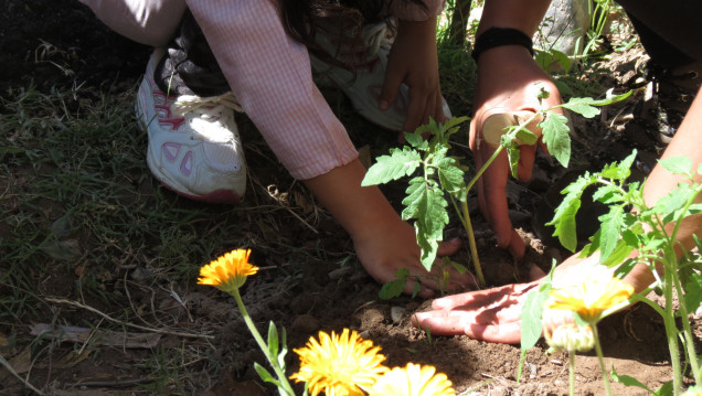 imagen Ofrecen formación en prácticas sociales educativas