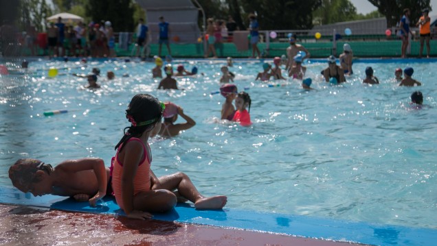 imagen Clásico del verano: nadan en la UNCUYO por una causa solidaria