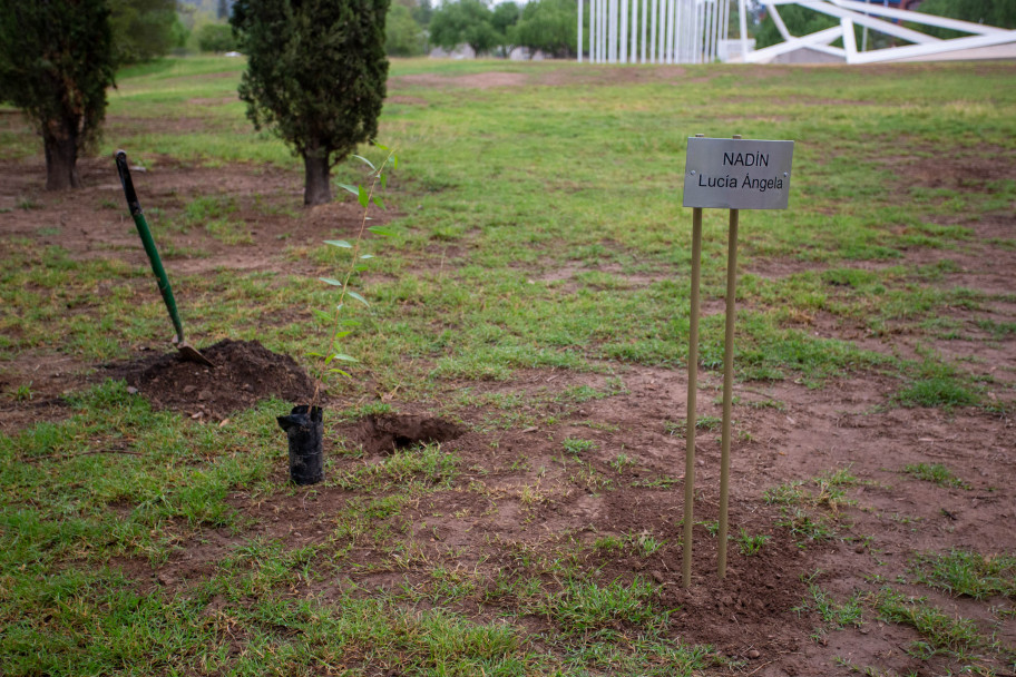 imagen La memoria sigue viva: la UNCUYO plantó eucaliptos para recordar a dos estudiantes