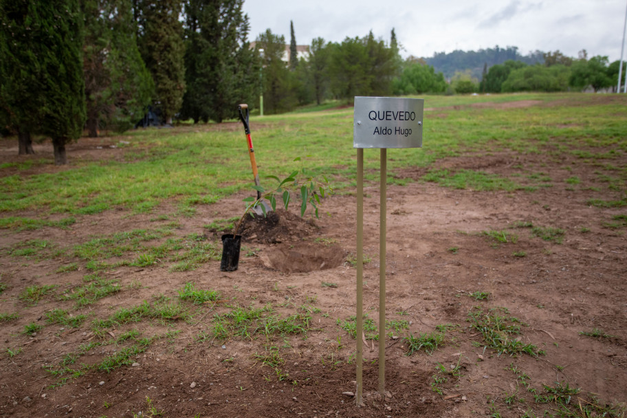 imagen La memoria sigue viva: la UNCUYO plantó eucaliptos para recordar a dos estudiantes