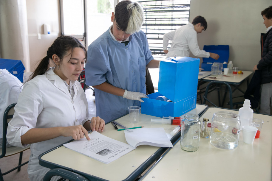 imagen Culminó otra edición de la Olimpíada Argentina de Ciencias Junior 