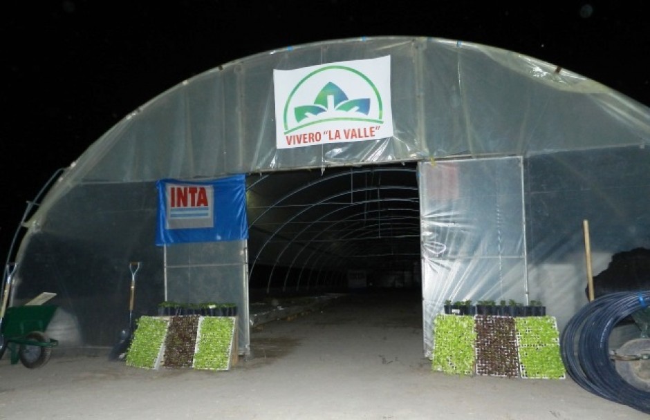 imagen Área de Territorialización inauguró invernadero de especies hortícolas en Lavalle