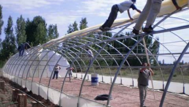 imagen Área de Territorialización inauguró invernadero de especies hortícolas en Lavalle