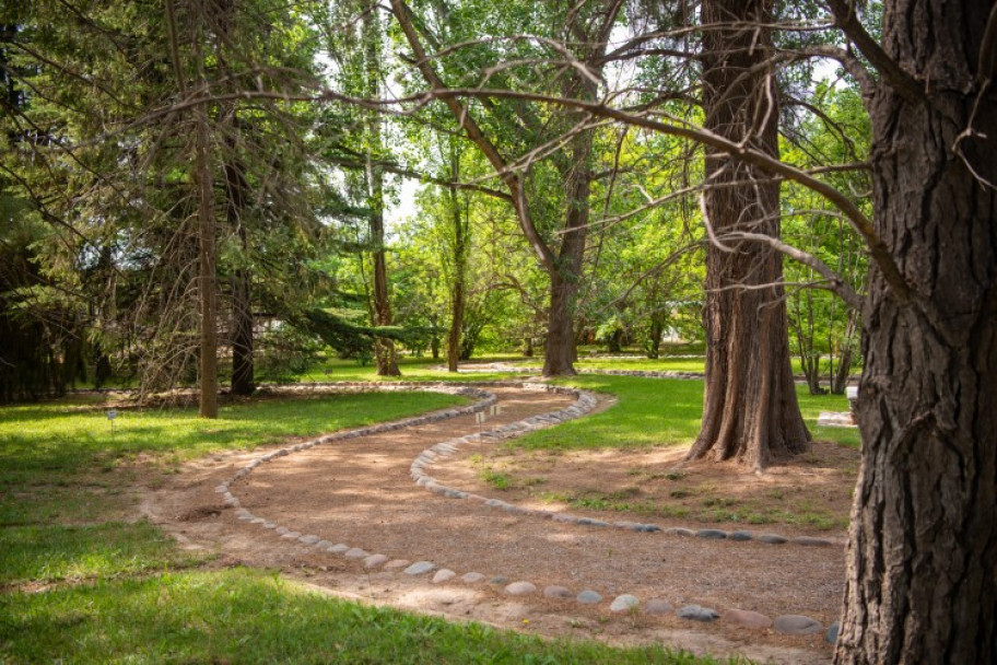 imagen El Jardín Botánico de Agrarias es patrimonio cultural e histórico de la Universidad