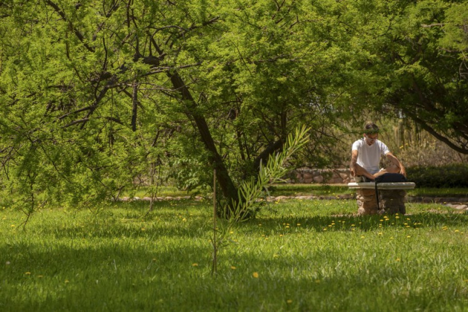 imagen El Jardín Botánico de Agrarias es patrimonio cultural e histórico de la Universidad