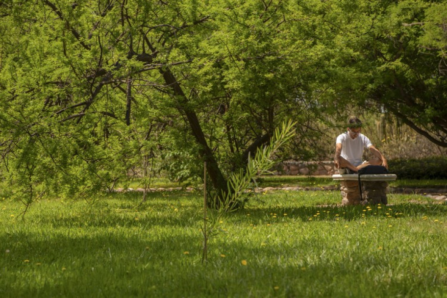 imagen El Jardín Botánico de Agrarias es patrimonio cultural e histórico de la Universidad