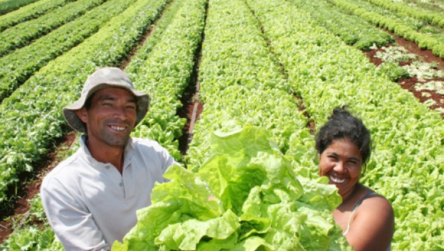 imagen Realizan en Ciencias Agrarias Jornadas por la Producción Familiar